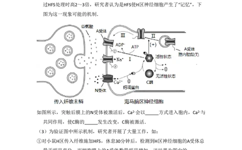 2017年高考生物试卷（北京）（空白卷）_生物历年高考真题_新&middot;PDF版2008-2025&middot;高考生物真题_生物（按省份分类）2008-2025_2008-2025&middot;（北京）生物高考真题