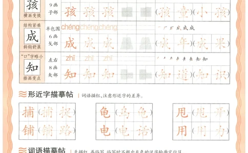 25秋王朝霞活页同步字帖-2年级上_25秋《王朝霞语文活页同步字帖》1-6上
