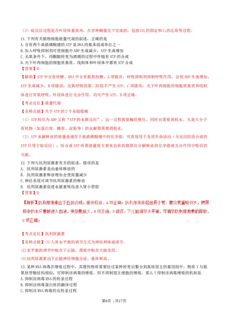 2016年高考生物试卷（海南）（解析卷）_生物历年高考真题_新&middot;Word版2008-2025&middot;高考生物真题_生物（按年份分类）2008-2025_2016&middot;高考生物真题