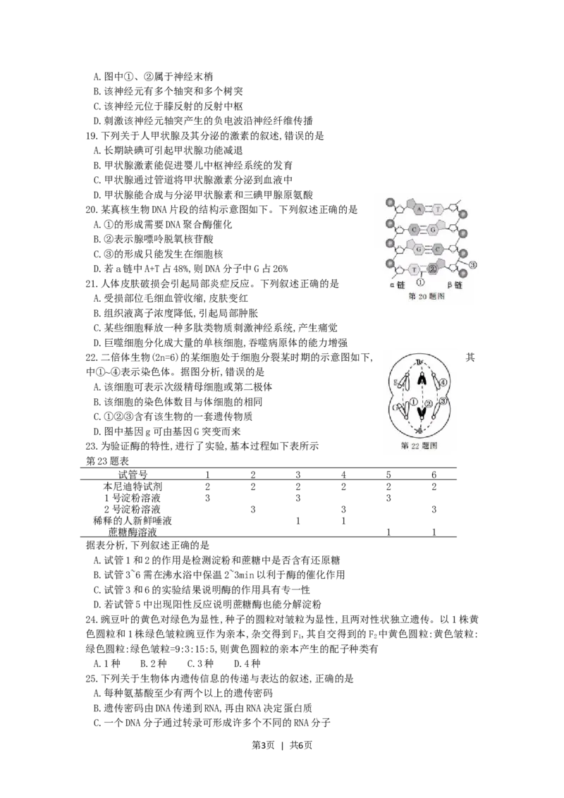 2017年高考生物试卷（浙江）（11月）（空白卷）_生物历年高考真题_新&middot;Word版2008-2025&middot;高考生物真题_生物（按试卷类型分类）2008-2025_自主命题卷&middot;生物（2008-2025）