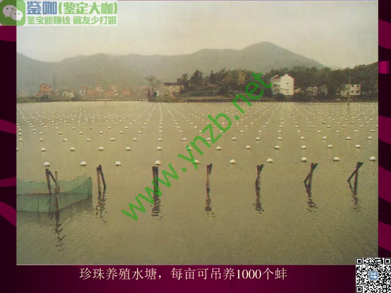 第11讲：高雅华贵的珠宝皇后：珍珠_X018-玉石珠宝鉴定教程最新合集_3、珠宝玉石鉴赏学习资料合集_珠宝玉石大学培训讲座教材