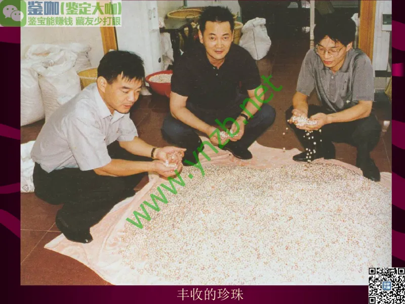 第11讲：高雅华贵的珠宝皇后：珍珠_X018-玉石珠宝鉴定教程最新合集_3、珠宝玉石鉴赏学习资料合集_珠宝玉石大学培训讲座教材