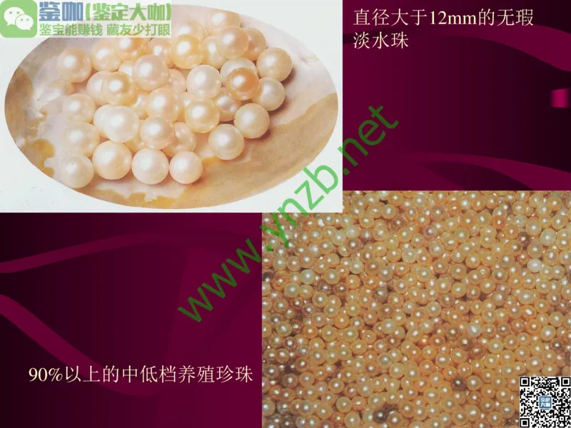 第11讲：高雅华贵的珠宝皇后：珍珠_X018-玉石珠宝鉴定教程最新合集_3、珠宝玉石鉴赏学习资料合集_珠宝玉石大学培训讲座教材