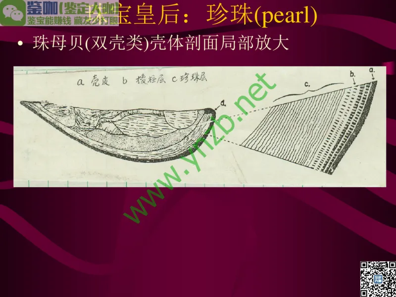 第11讲：高雅华贵的珠宝皇后：珍珠_X018-玉石珠宝鉴定教程最新合集_3、珠宝玉石鉴赏学习资料合集_珠宝玉石大学培训讲座教材