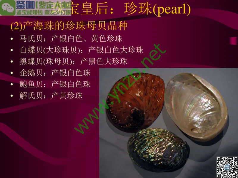 第11讲：高雅华贵的珠宝皇后：珍珠_X018-玉石珠宝鉴定教程最新合集_3、珠宝玉石鉴赏学习资料合集_珠宝玉石大学培训讲座教材