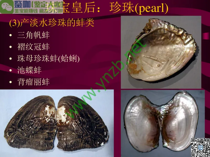 第11讲：高雅华贵的珠宝皇后：珍珠_X018-玉石珠宝鉴定教程最新合集_3、珠宝玉石鉴赏学习资料合集_珠宝玉石大学培训讲座教材