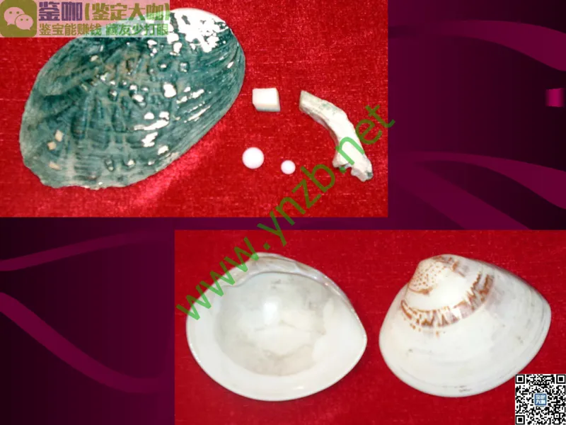 第11讲：高雅华贵的珠宝皇后：珍珠_X018-玉石珠宝鉴定教程最新合集_3、珠宝玉石鉴赏学习资料合集_珠宝玉石大学培训讲座教材