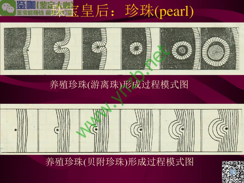 第11讲：高雅华贵的珠宝皇后：珍珠_X018-玉石珠宝鉴定教程最新合集_3、珠宝玉石鉴赏学习资料合集_珠宝玉石大学培训讲座教材