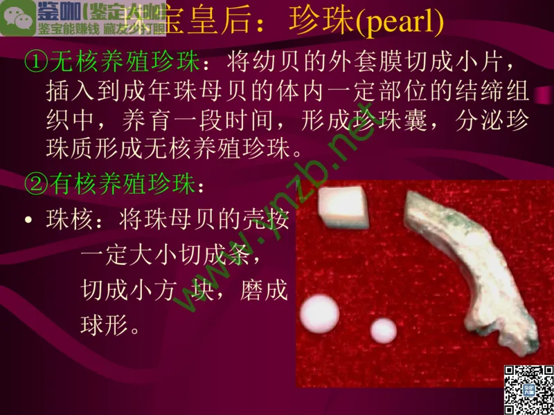 第11讲：高雅华贵的珠宝皇后：珍珠_X018-玉石珠宝鉴定教程最新合集_3、珠宝玉石鉴赏学习资料合集_珠宝玉石大学培训讲座教材