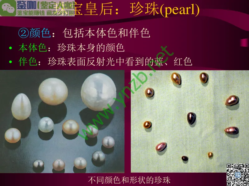 第11讲：高雅华贵的珠宝皇后：珍珠_X018-玉石珠宝鉴定教程最新合集_3、珠宝玉石鉴赏学习资料合集_珠宝玉石大学培训讲座教材
