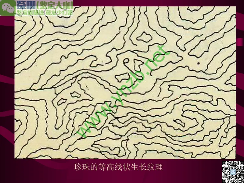 第11讲：高雅华贵的珠宝皇后：珍珠_X018-玉石珠宝鉴定教程最新合集_3、珠宝玉石鉴赏学习资料合集_珠宝玉石大学培训讲座教材