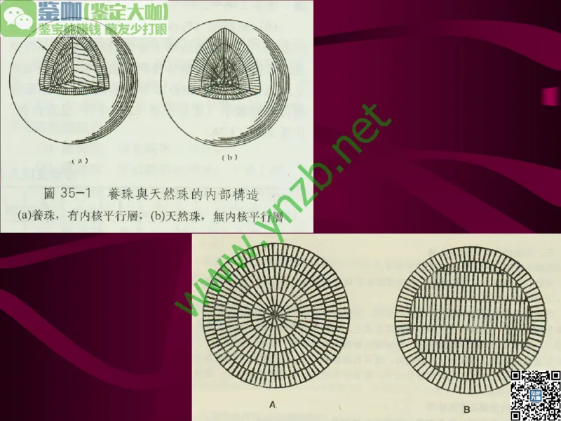 第11讲：高雅华贵的珠宝皇后：珍珠_X018-玉石珠宝鉴定教程最新合集_3、珠宝玉石鉴赏学习资料合集_珠宝玉石大学培训讲座教材
