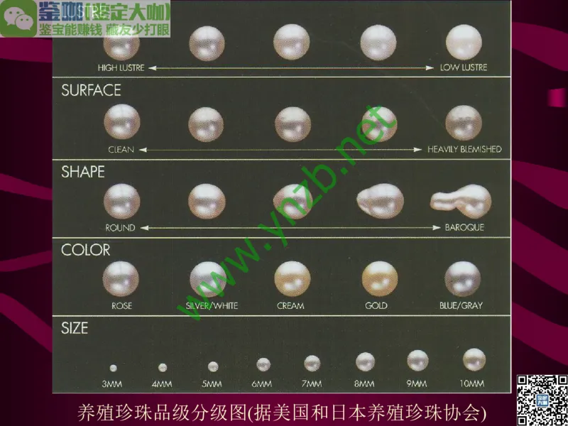 第11讲：高雅华贵的珠宝皇后：珍珠_X018-玉石珠宝鉴定教程最新合集_3、珠宝玉石鉴赏学习资料合集_珠宝玉石大学培训讲座教材