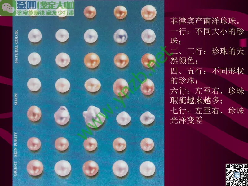 第11讲：高雅华贵的珠宝皇后：珍珠_X018-玉石珠宝鉴定教程最新合集_3、珠宝玉石鉴赏学习资料合集_珠宝玉石大学培训讲座教材