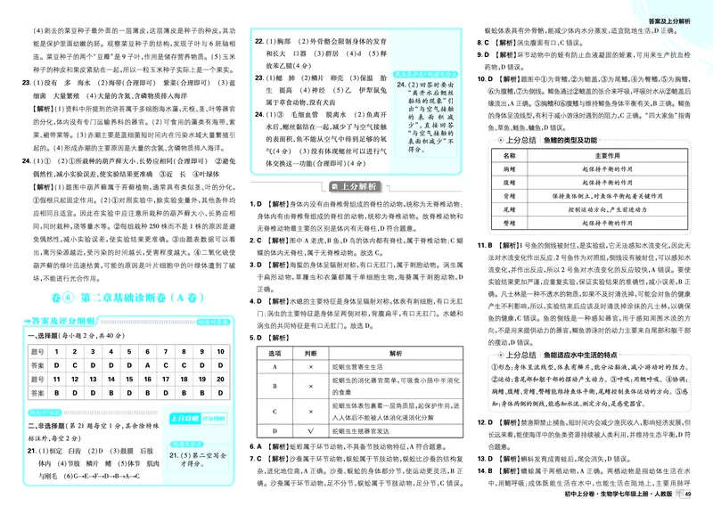 2026上分卷生物7年级上册解析册_2026版初中《必刷题上分卷》7年级上册（7科全套）_2026《初中上分卷&bull;生物》7上（人教版）