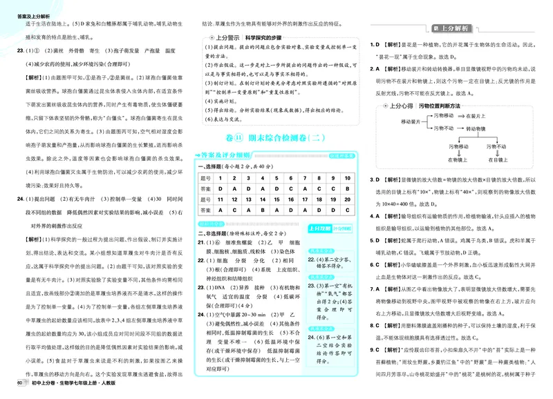 2026上分卷生物7年级上册解析册_2026版初中《必刷题上分卷》7年级上册（7科全套）_2026《初中上分卷&bull;生物》7上（人教版）