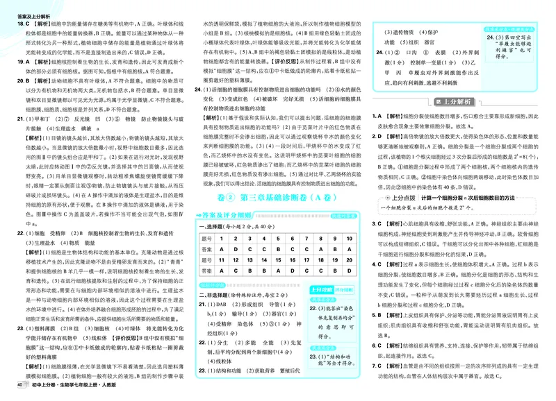 2026上分卷生物7年级上册解析册_2026版初中《必刷题上分卷》7年级上册（7科全套）_2026《初中上分卷&bull;生物》7上（人教版）