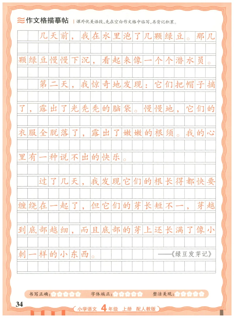 25秋王朝霞活页同步字帖-4年级上_25秋《王朝霞语文活页同步字帖》1-6上