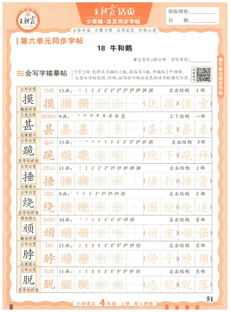 25秋王朝霞活页同步字帖-4年级上_25秋《王朝霞语文活页同步字帖》1-6上