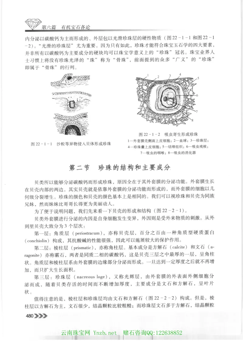 珠宝玉石鉴赏珍藏版玉器鉴赏与评估_X018-玉石珠宝鉴定教程最新合集_5、玉石鉴定专题全套课程_玉石电子书_玉石电子书