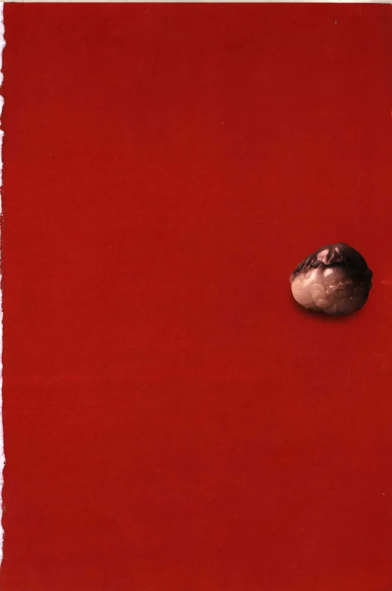 留泓簃藏和田玉雅赏__X018-玉石珠宝鉴定教程最新合集_7、和田玉鉴定专题全套课程_和田玉电子书