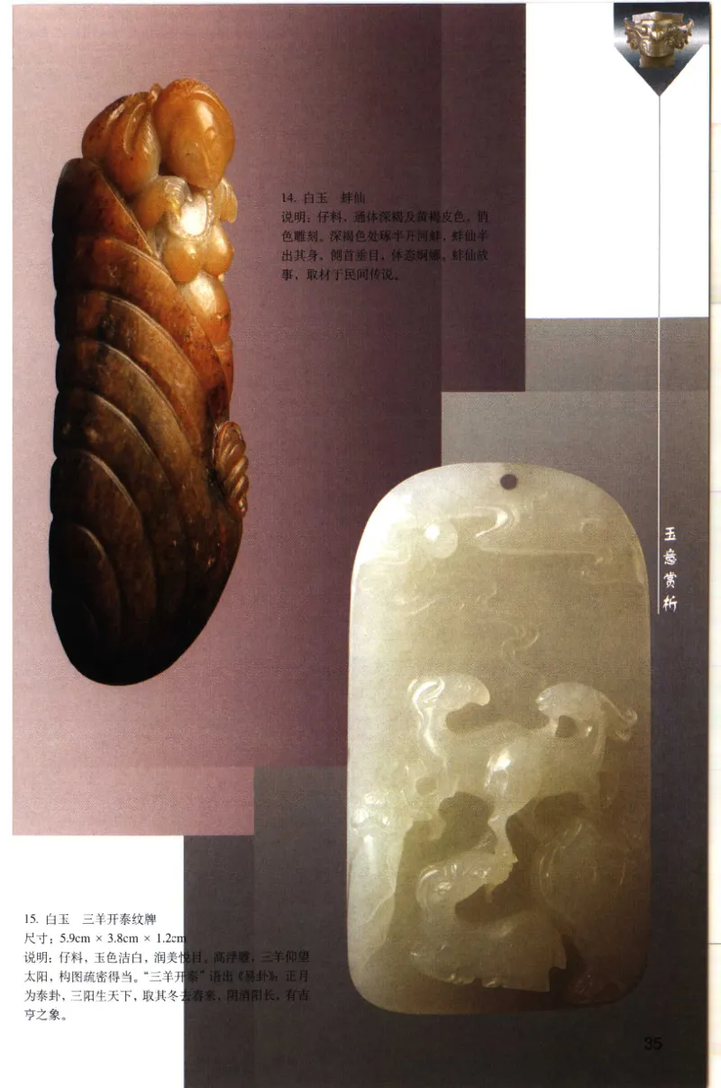 留泓簃藏和田玉雅赏__X018-玉石珠宝鉴定教程最新合集_7、和田玉鉴定专题全套课程_和田玉电子书