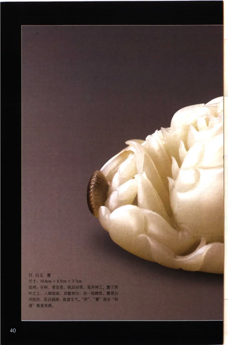 留泓簃藏和田玉雅赏__X018-玉石珠宝鉴定教程最新合集_7、和田玉鉴定专题全套课程_和田玉电子书