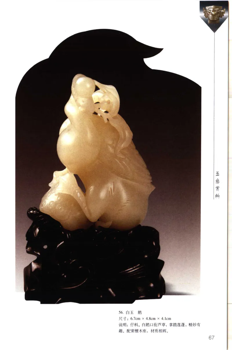 留泓簃藏和田玉雅赏__X018-玉石珠宝鉴定教程最新合集_7、和田玉鉴定专题全套课程_和田玉电子书