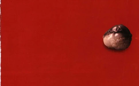 留泓簃藏和田玉雅赏__X018-玉石珠宝鉴定教程最新合集_7、和田玉鉴定专题全套课程_和田玉电子书