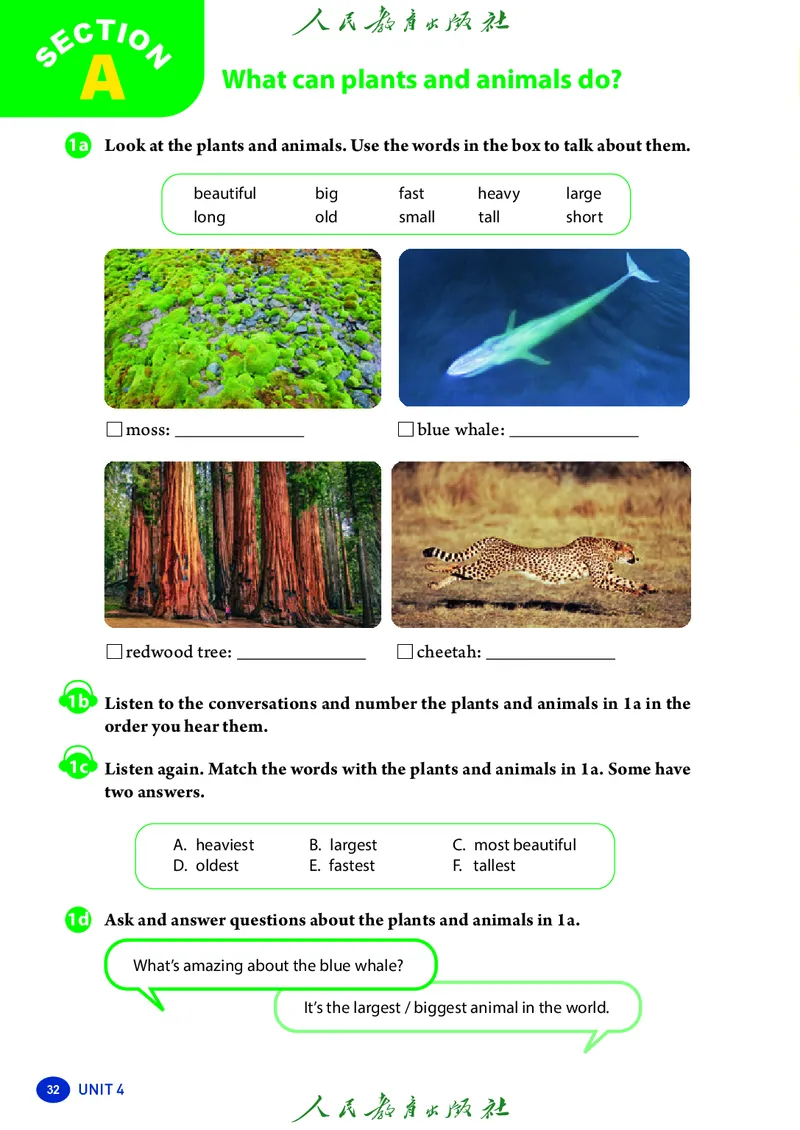 8上-人教版电子ke-ben（2025秋季新版）_初中英语新版_最新人教版英语八年级上册_新版_初中英语8上新更新第二套可选择_11电子ke-ben