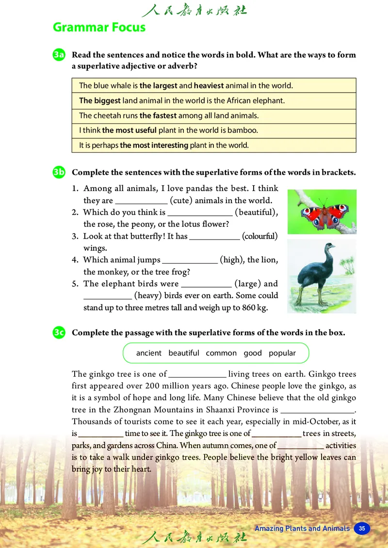 8上-人教版电子ke-ben（2025秋季新版）_初中英语新版_最新人教版英语八年级上册_新版_初中英语8上新更新第二套可选择_11电子ke-ben