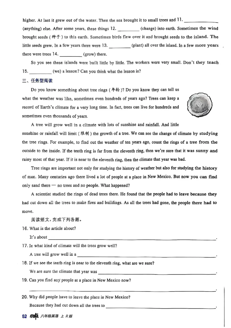 2025秋新人教八上英语-典中点_初中英语新版_最新人教版英语八年级上册_新版_初中英语8上新更新第三套可选择_20赠送教辅_典中点