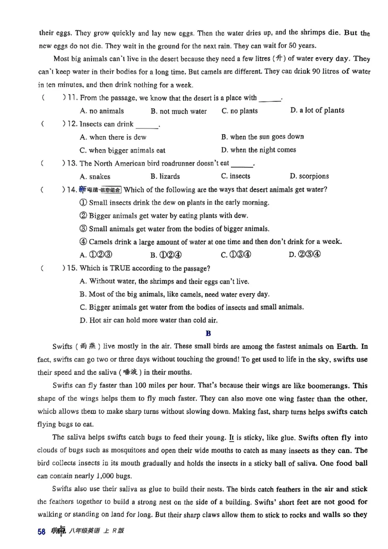 2025秋新人教八上英语-典中点_初中英语新版_最新人教版英语八年级上册_新版_初中英语8上新更新第三套可选择_20赠送教辅_典中点