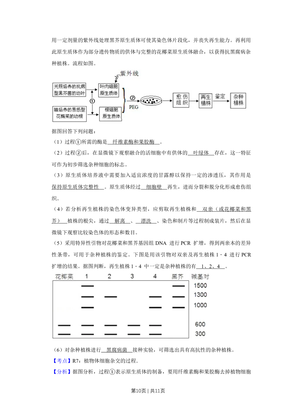2013年高考生物试卷（天津）（解析卷）_生物历年高考真题_新&middot;Word版2008-2025&middot;高考生物真题_生物（按省份分类）2008-2025_2008-2024&middot;（天津）生物高考真题