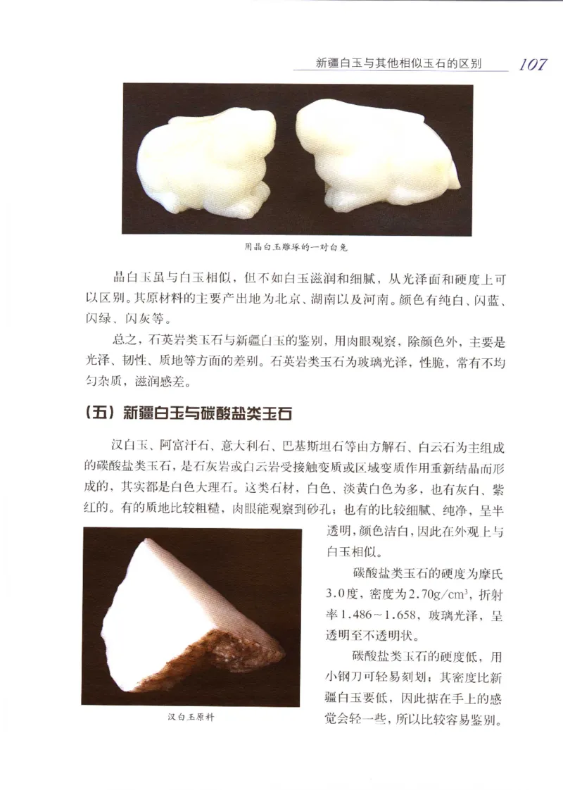 白玉品鉴与投资__X018-玉石珠宝鉴定教程最新合集_5、玉石鉴定专题全套课程_玉石电子书_玉石电子书