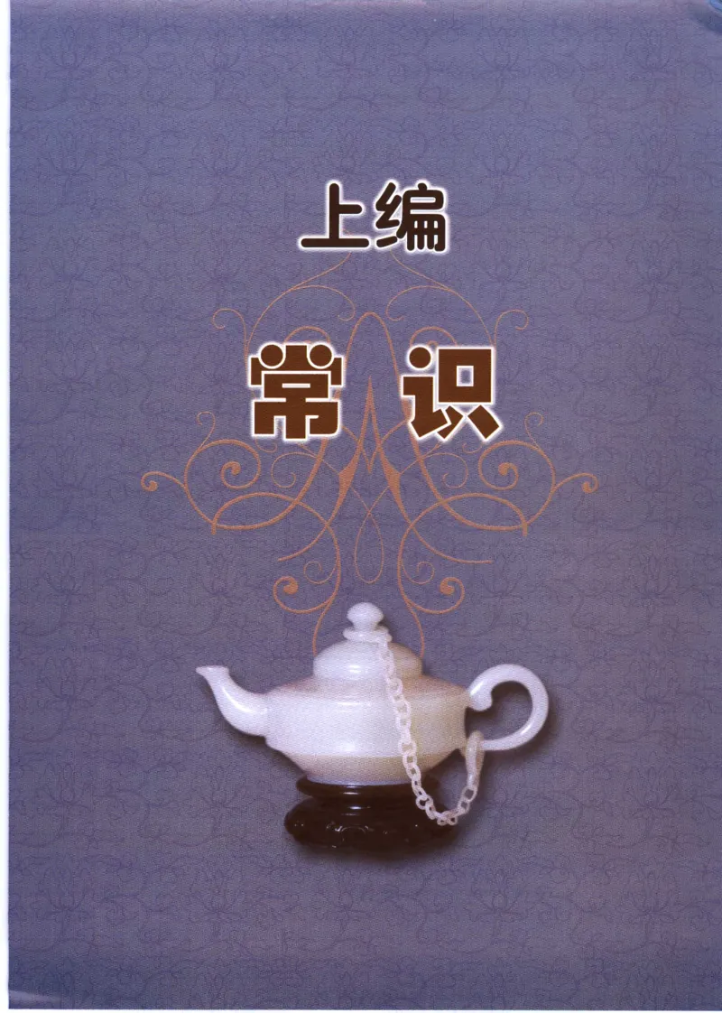 白玉品鉴与投资__X018-玉石珠宝鉴定教程最新合集_5、玉石鉴定专题全套课程_玉石电子书_玉石电子书