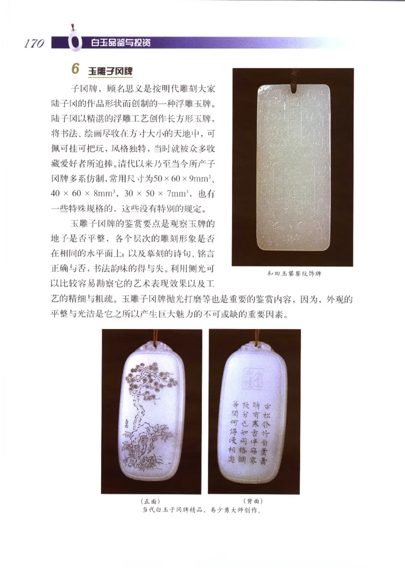 白玉品鉴与投资__X018-玉石珠宝鉴定教程最新合集_5、玉石鉴定专题全套课程_玉石电子书_玉石电子书
