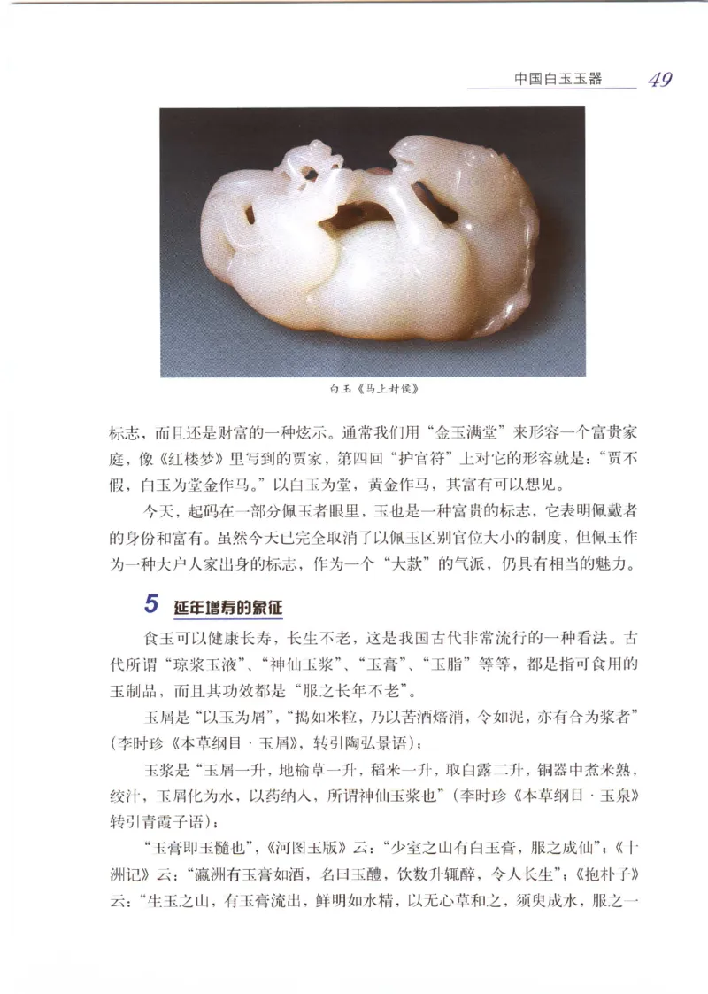 白玉品鉴与投资__X018-玉石珠宝鉴定教程最新合集_5、玉石鉴定专题全套课程_玉石电子书_玉石电子书