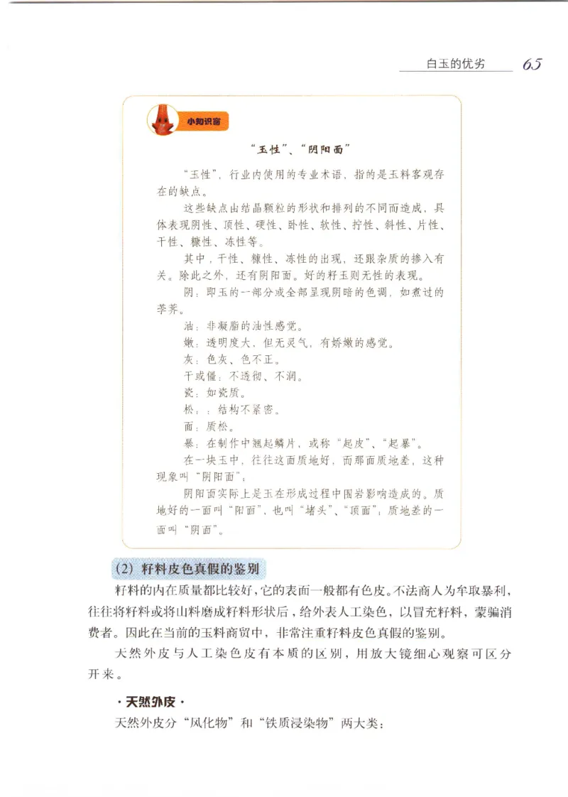 白玉品鉴与投资__X018-玉石珠宝鉴定教程最新合集_5、玉石鉴定专题全套课程_玉石电子书_玉石电子书