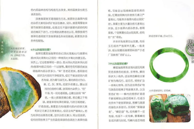 摩忕识翠_X018-玉石珠宝鉴定教程最新合集_6、翡翠鉴定专题全套课程_翡翠电子书_翡翠鉴赏_01-10