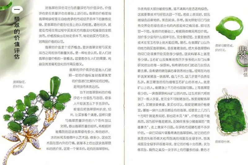 摩忕识翠_X018-玉石珠宝鉴定教程最新合集_6、翡翠鉴定专题全套课程_翡翠电子书_翡翠鉴赏_01-10