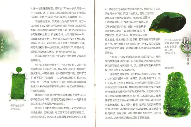 摩忕识翠_X018-玉石珠宝鉴定教程最新合集_6、翡翠鉴定专题全套课程_翡翠电子书_翡翠鉴赏_01-10