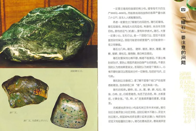 摩忕识翠_X018-玉石珠宝鉴定教程最新合集_6、翡翠鉴定专题全套课程_翡翠电子书_翡翠鉴赏_01-10