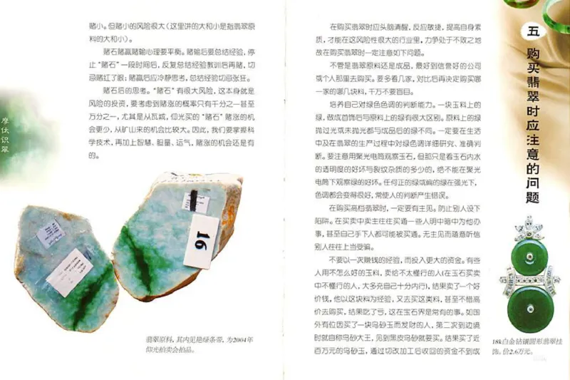 摩忕识翠_X018-玉石珠宝鉴定教程最新合集_6、翡翠鉴定专题全套课程_翡翠电子书_翡翠鉴赏_01-10