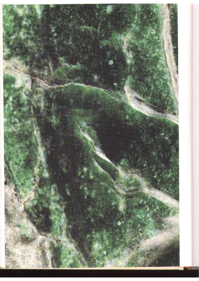 翡翠全集（下）_X018-玉石珠宝鉴定教程最新合集_6、翡翠鉴定专题全套课程_翡翠电子书_翡翠品评