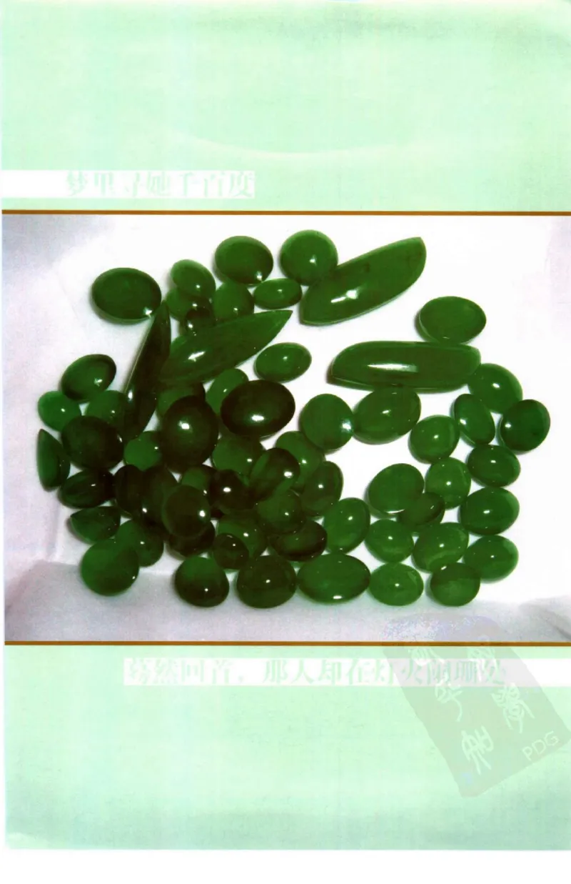 勐拱翡翠经-张竹邦_X018-玉石珠宝鉴定教程最新合集_6、翡翠鉴定专题全套课程_翡翠电子书_翡翠品评