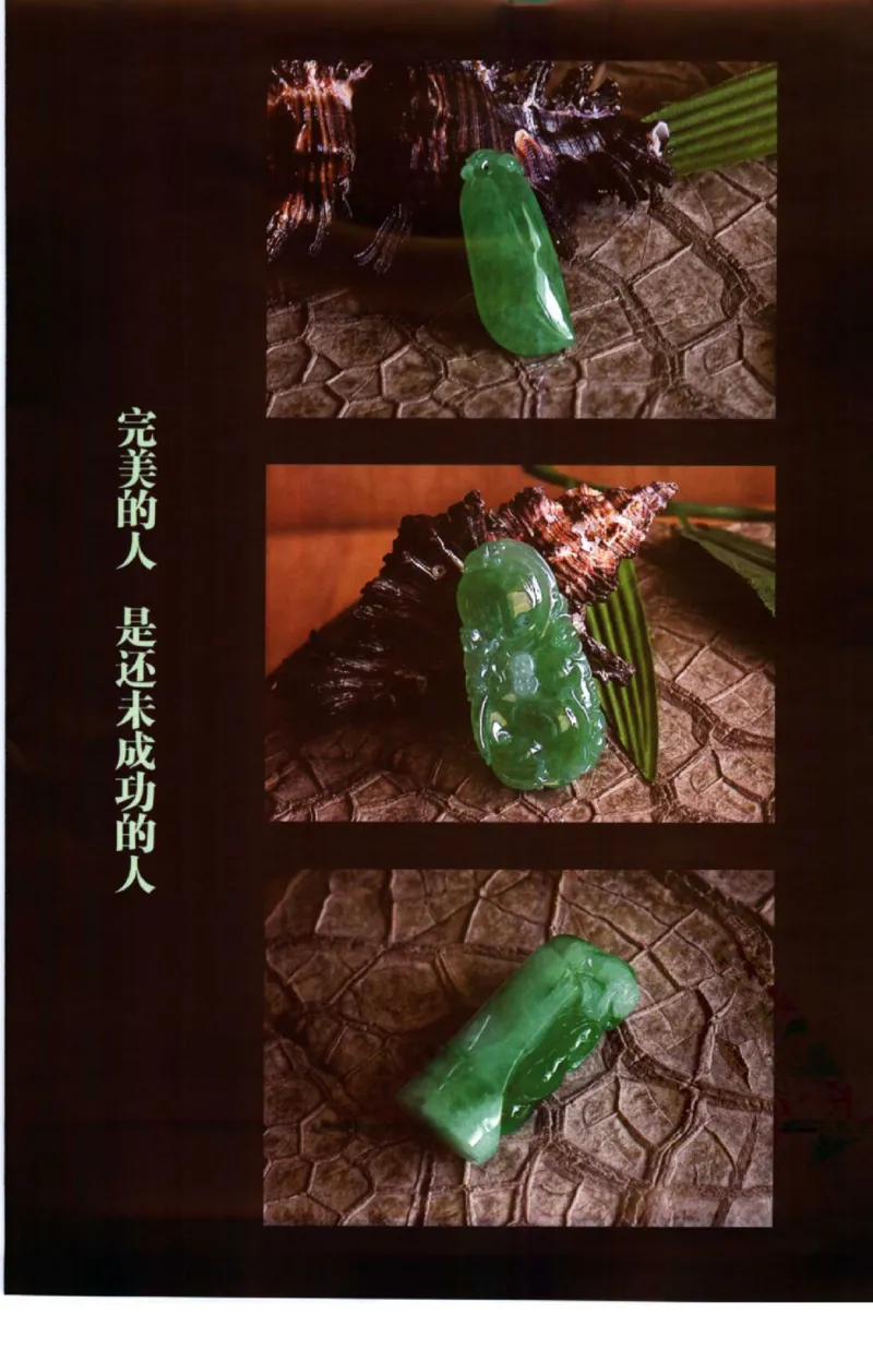 勐拱翡翠经-张竹邦_X018-玉石珠宝鉴定教程最新合集_6、翡翠鉴定专题全套课程_翡翠电子书_翡翠品评