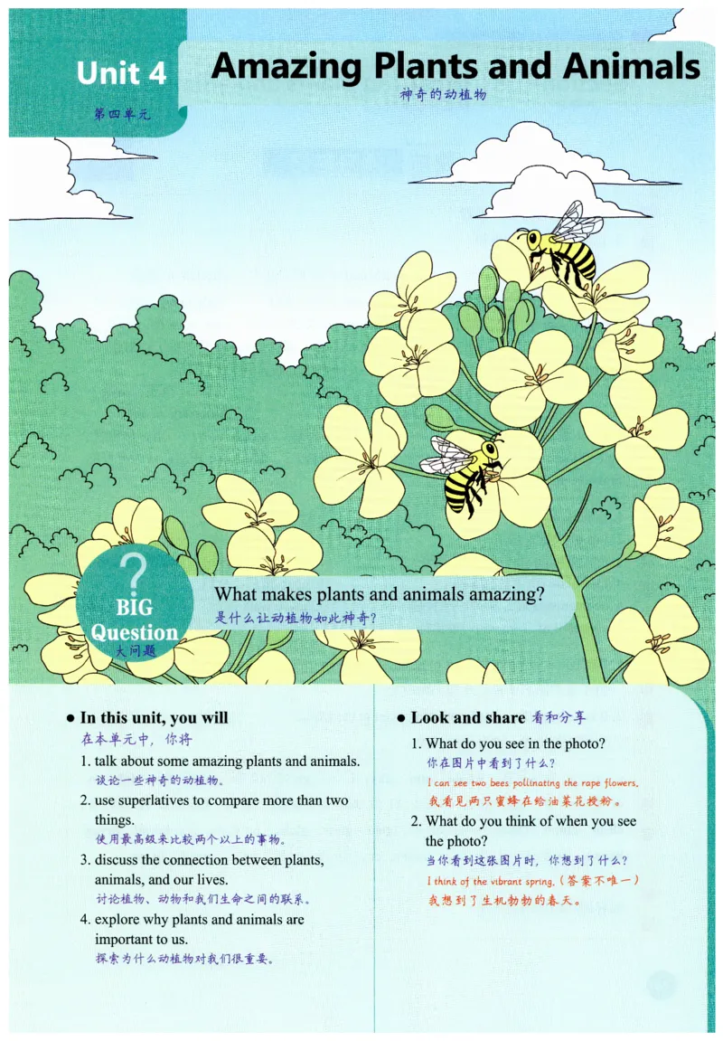 2025秋新人教版八年级上册英语课堂笔记_初中英语新版_人教版初中英语课ben电子版赠品_初中英语8年级上册