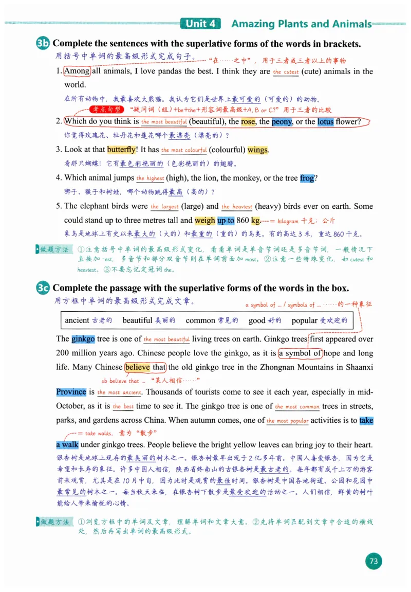 2025秋新人教版八年级上册英语课堂笔记_初中英语新版_人教版初中英语课ben电子版赠品_初中英语8年级上册
