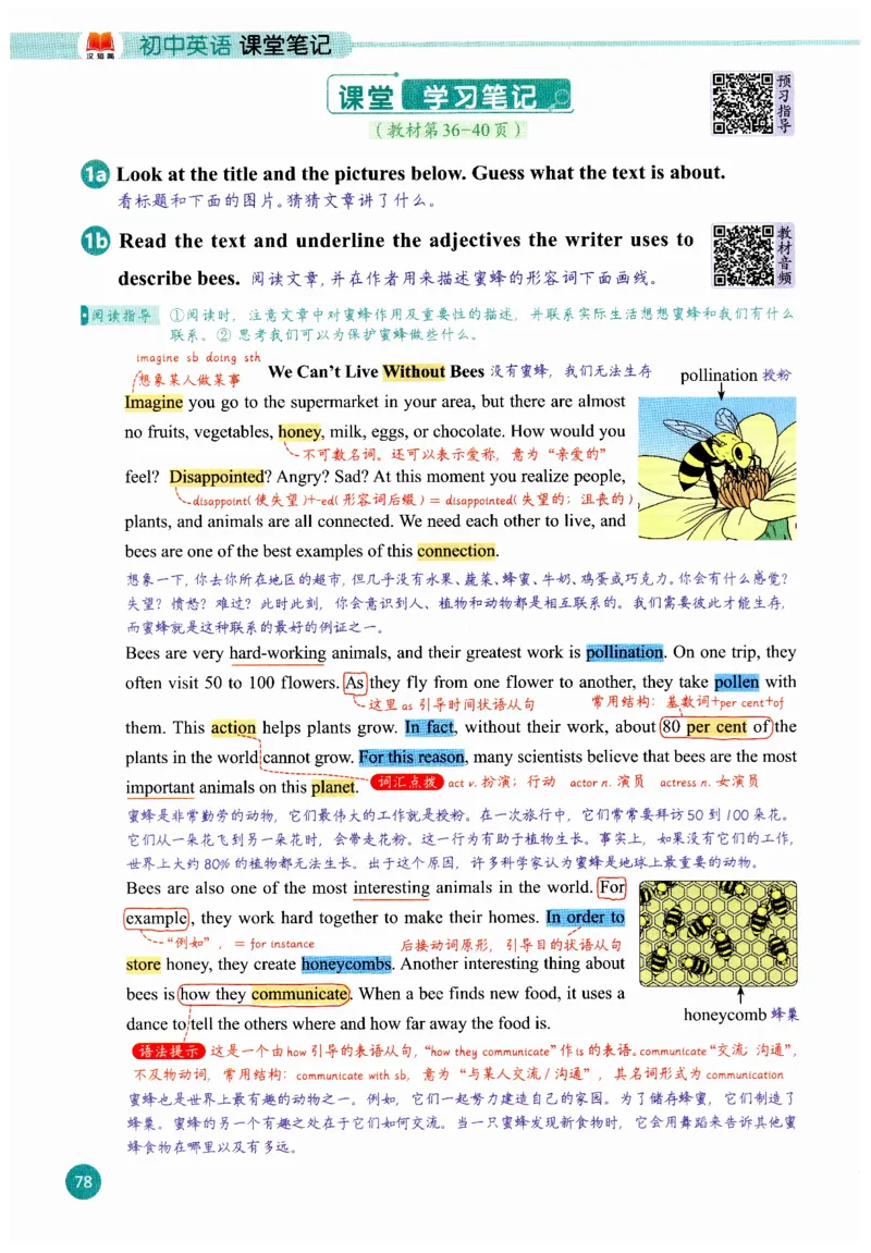 2025秋新人教版八年级上册英语课堂笔记_初中英语新版_人教版初中英语课ben电子版赠品_初中英语8年级上册